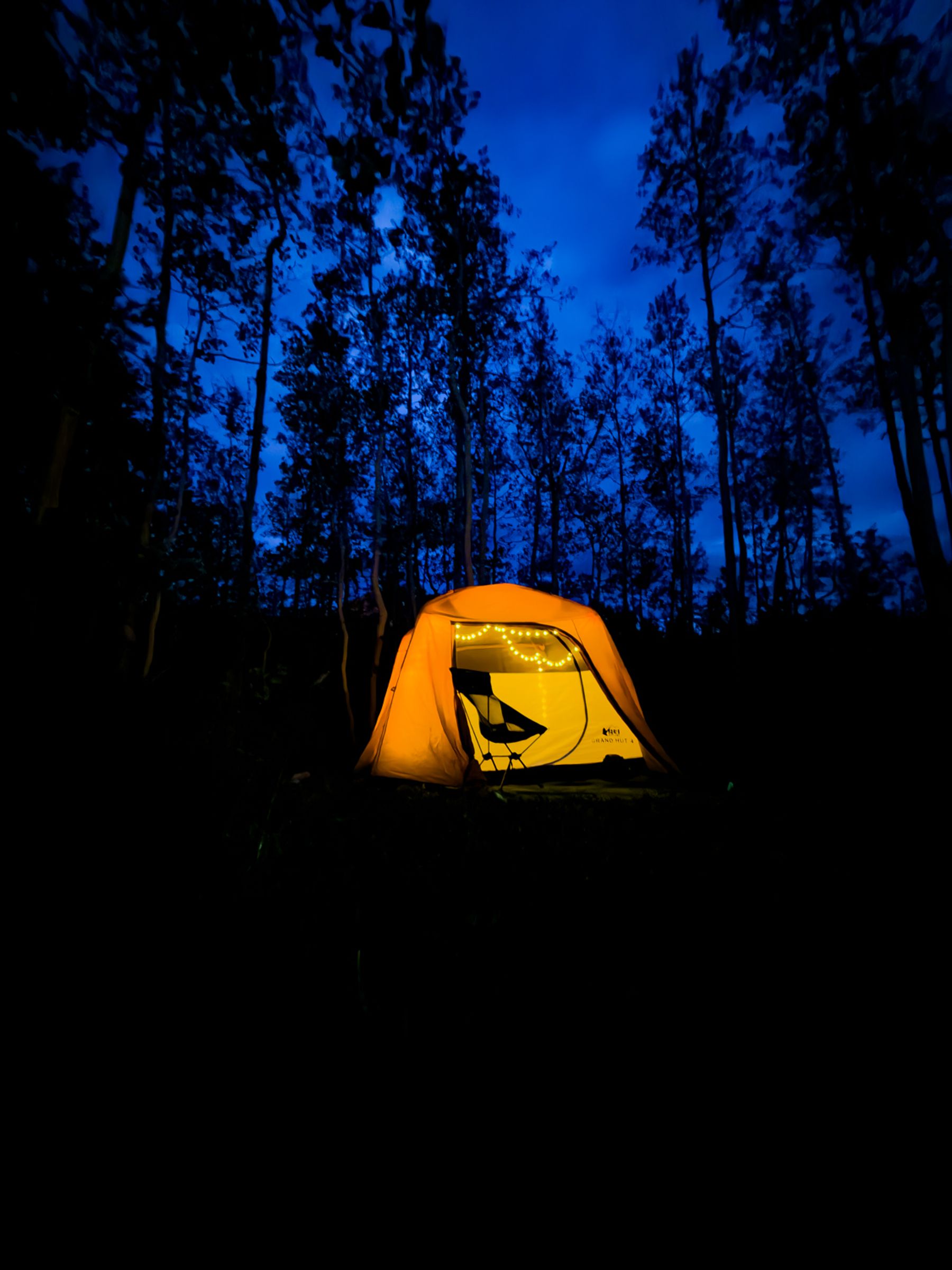 Tent in Trees at Dusk